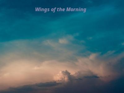 wings of the morning