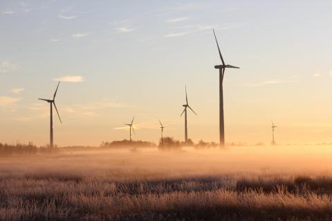 wind farm